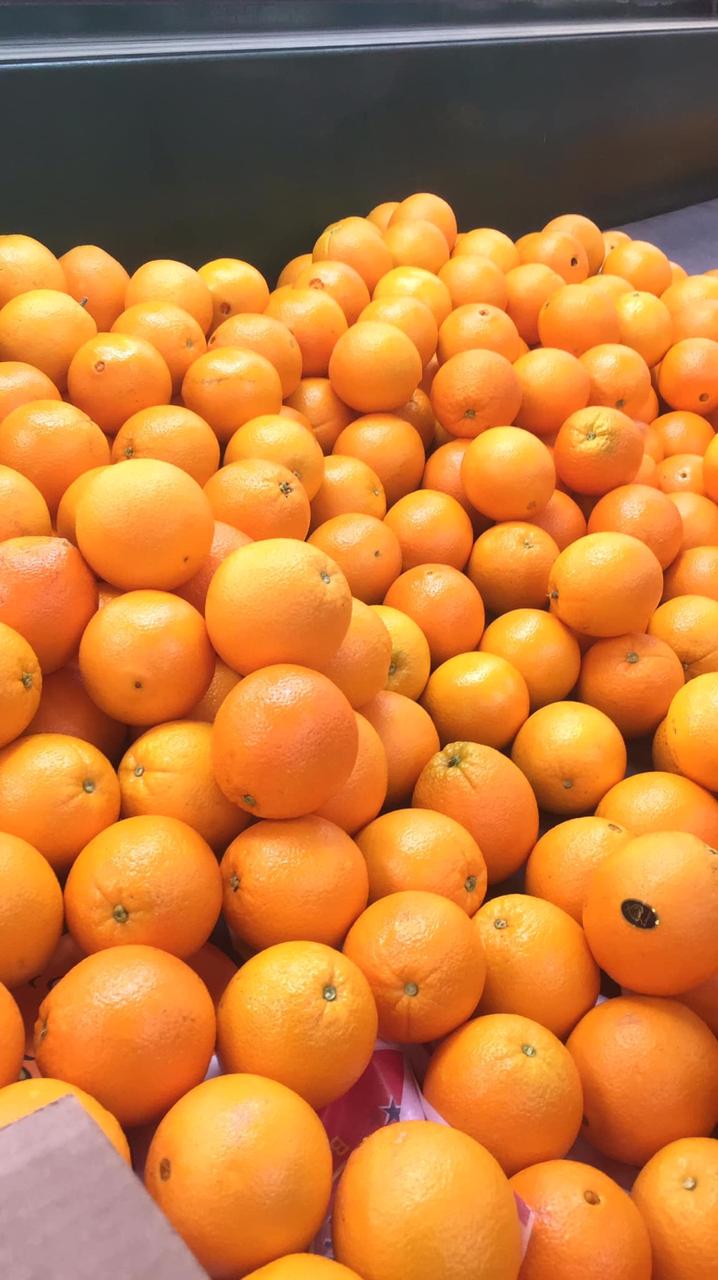 Orange Balady Egyptian